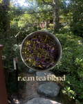 r.e.m tea blend