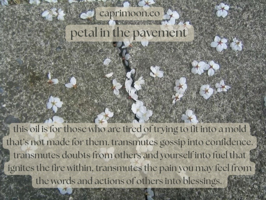 petal in the pavement