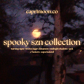 spooky szn collection
